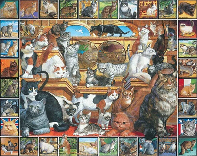 World Of Cats