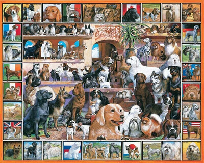 World Of Dogs