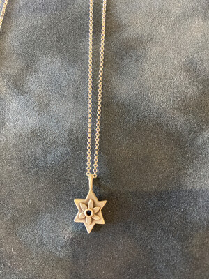 bp-12 botanical star necklace