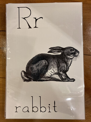 Rabbit flashcard