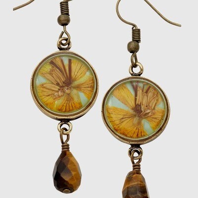 SD E381BP Earring