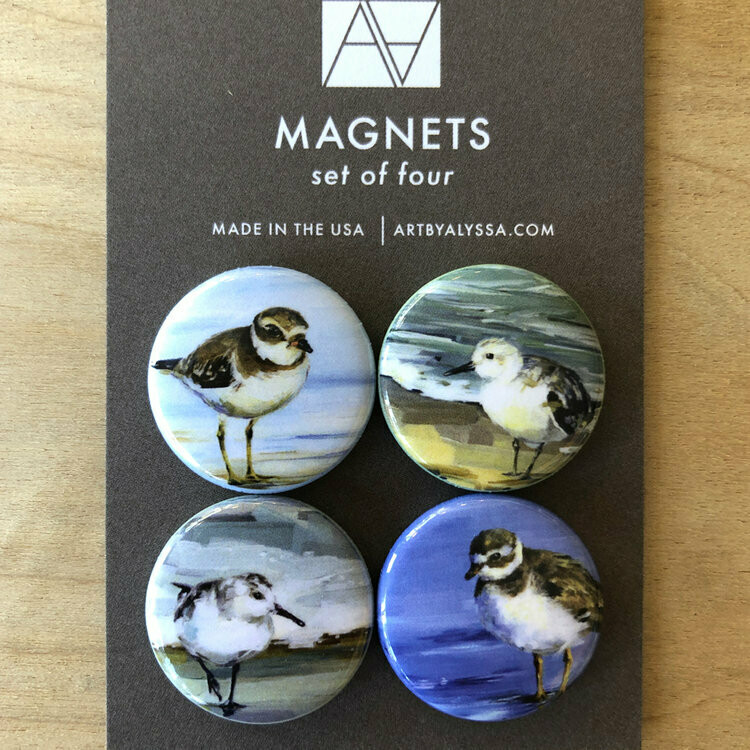 Summer Bird Magnet Set Summer Bird Magnet Set