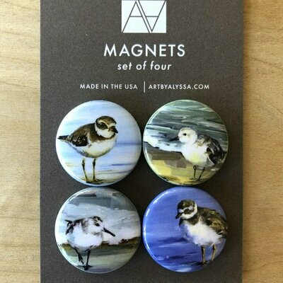 AA Summer Bird Magnet Set