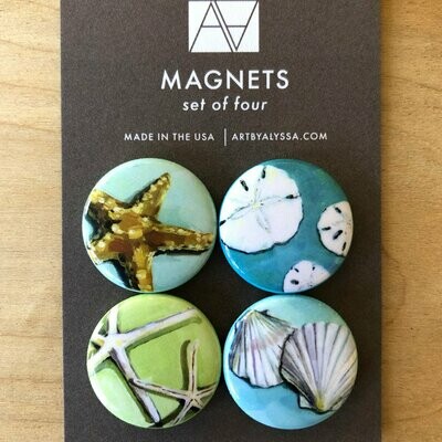 AA Shell Magnet Set
