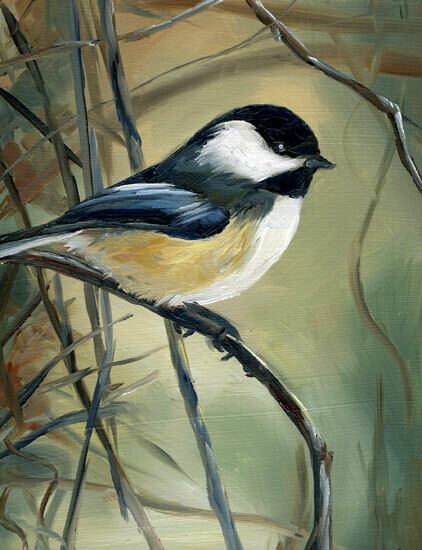 Chickadee in Mist 8x10