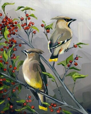 Cedar Waxwings 11x14