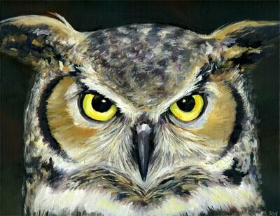 AA Great Horned Owl 11x14