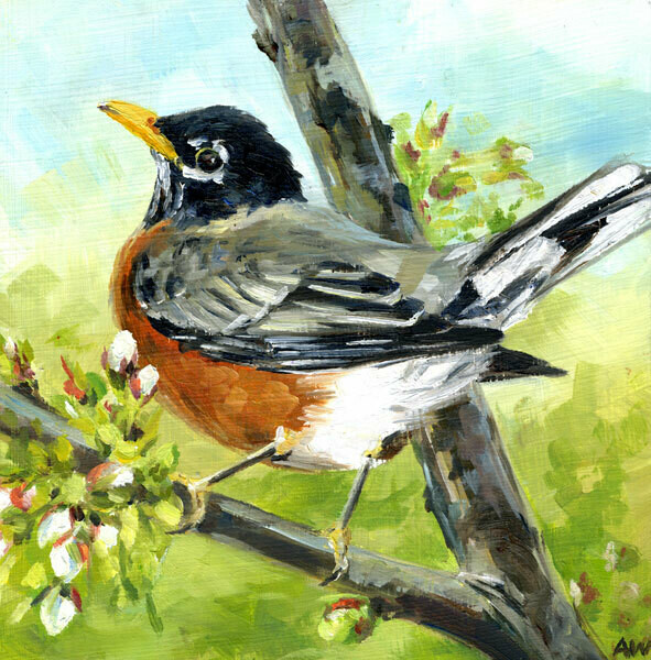 Summer Robin 11x14
