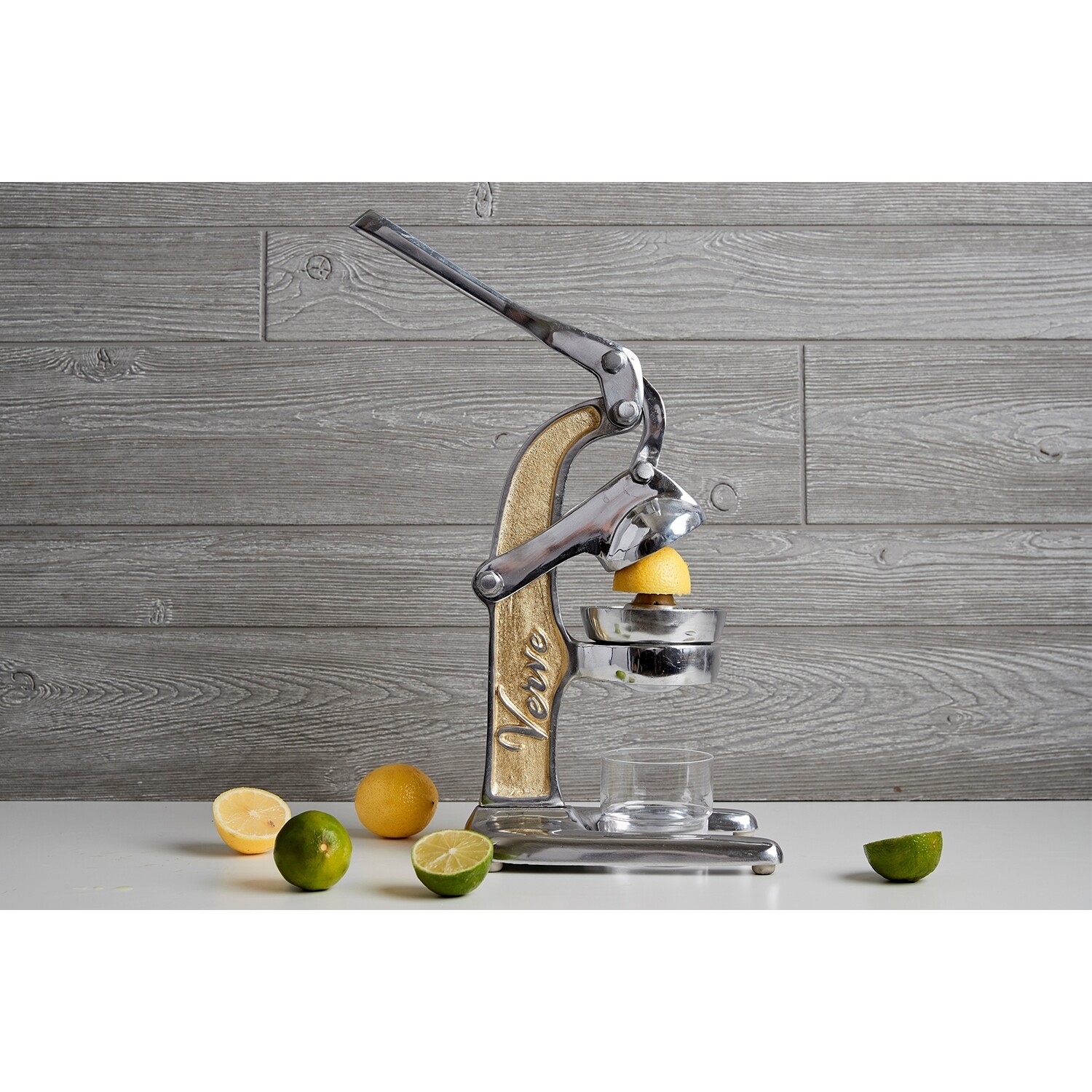 Verve Mexican Citrus Juicer