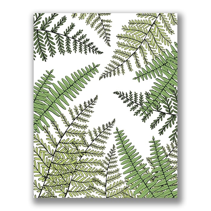 SGF Ferns 8x10