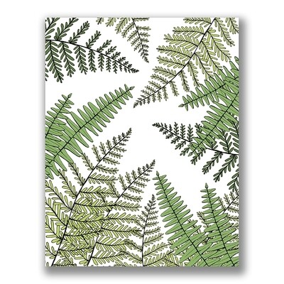 SGF Ferns 8x10