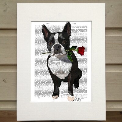 FabF Boston Terrier with Rose in Mouth, dog book print - Matted book page
