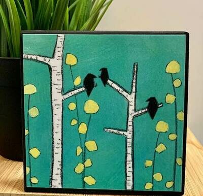 Teal Birch 4x4 Teal Birch 4x4