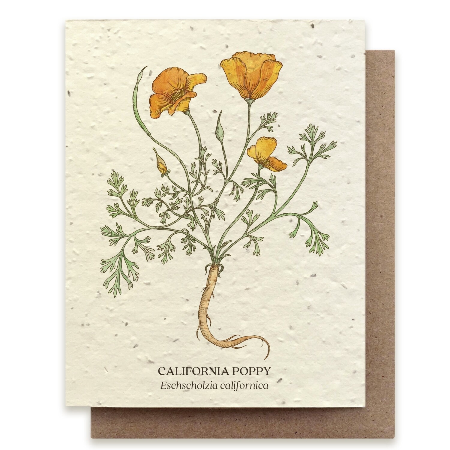 California Poppy Greeting Cards - Plantable Seed Paper - No Sleeves