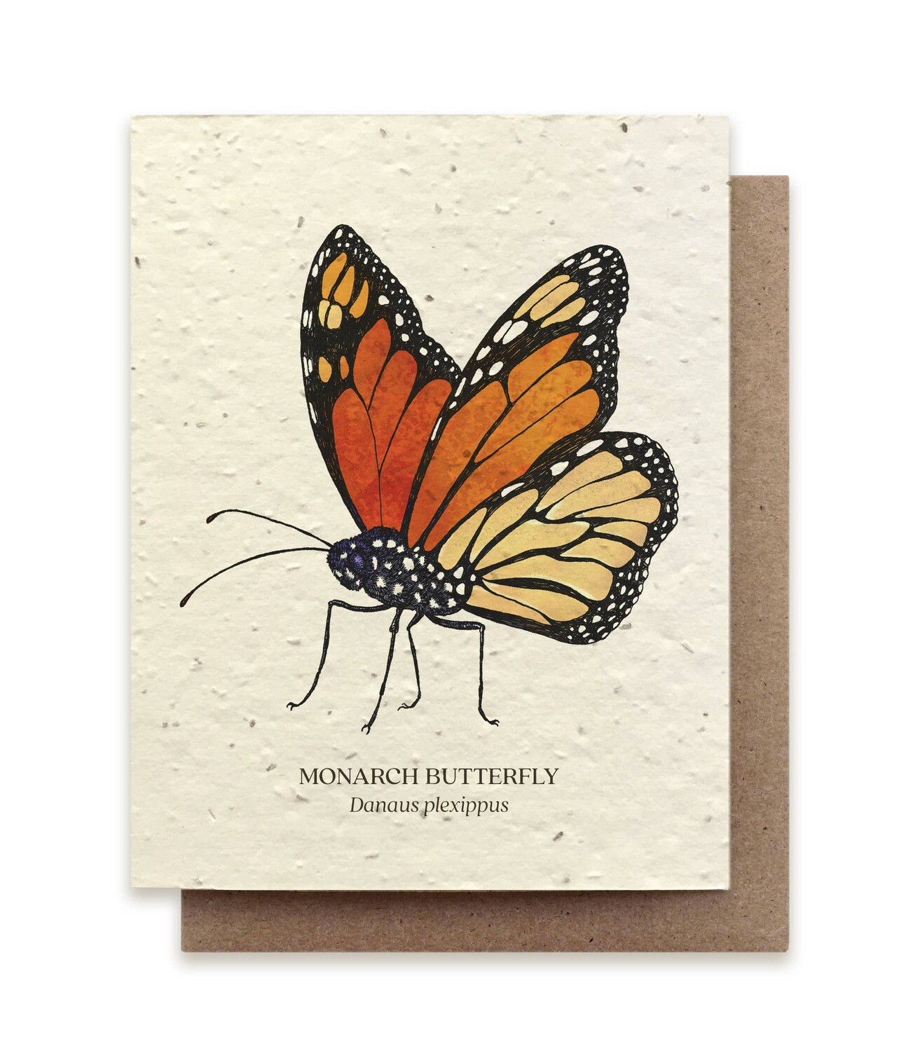 Monarch Butterfly Greeting Cards - Plantable Seed Paper - No Sleeves
