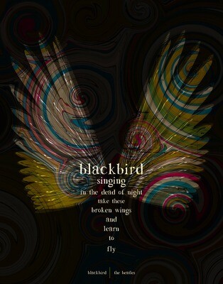 The Beatles - Blackbird - 8x10