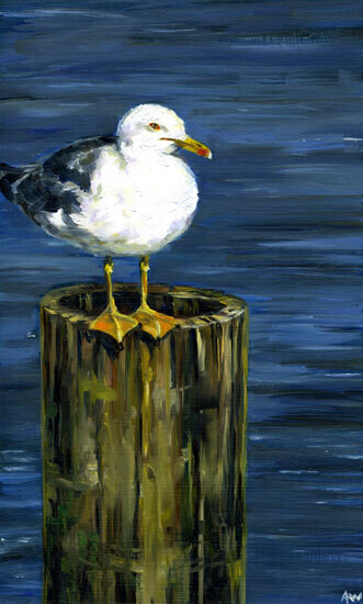 94 Seagull 8x10