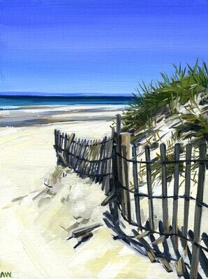 123C Cape Fence 8x10 