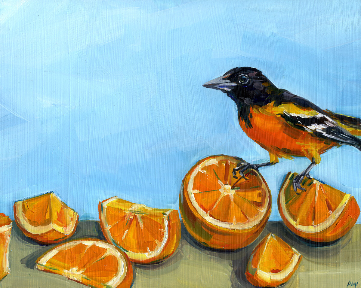 74F Oriole Snack 8x10