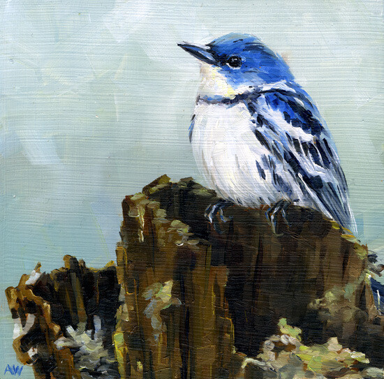 82 Cerulean Warbler 8x10