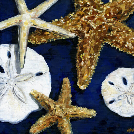 108 Shell on Navy 1 8x10