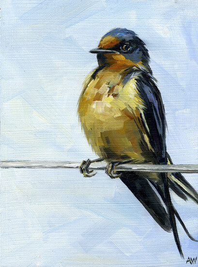 82A Barn Swallow 8x10