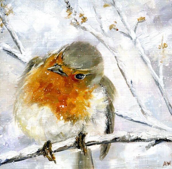48 European robin 8x10