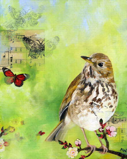 69 Hermit Thrush 8x10