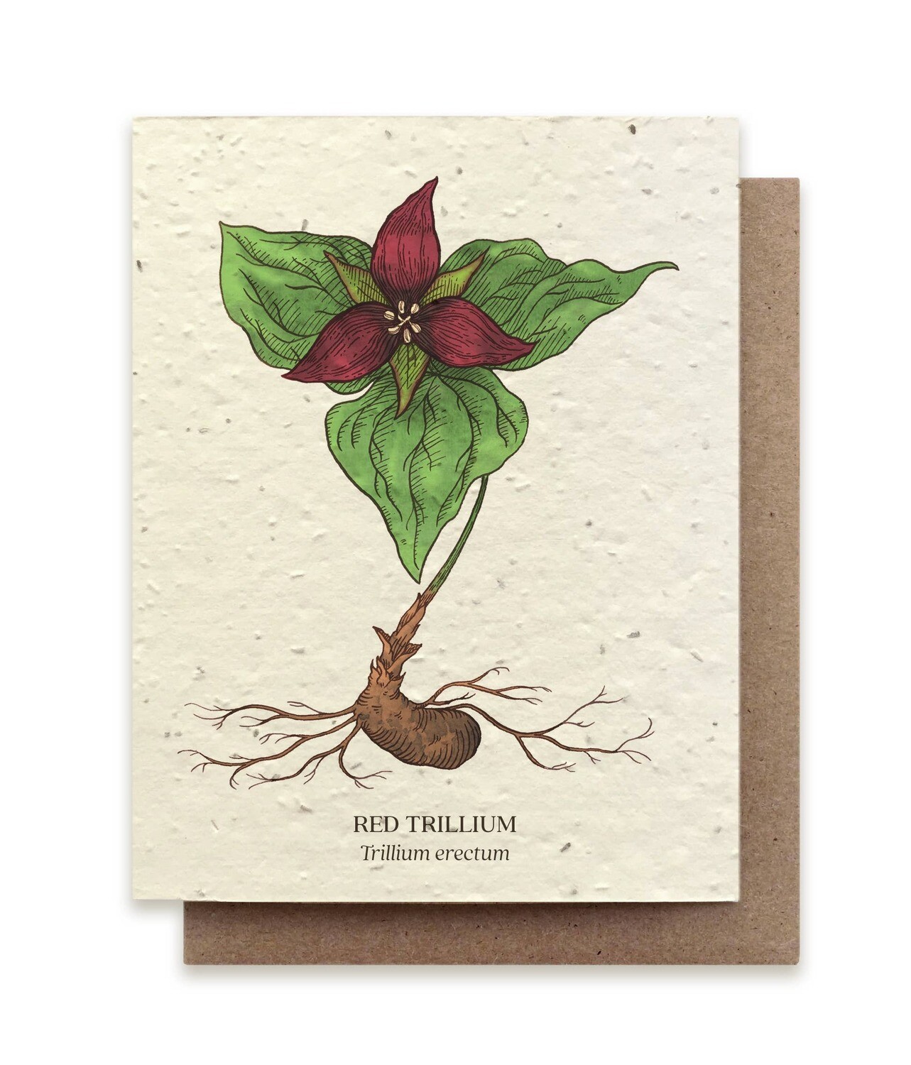 Trillium Botanical Greeting Cards - Plantable Seed Paper - No Sleeves