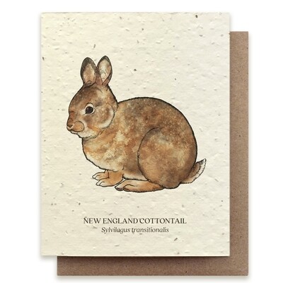 Cottontail Rabbit Greeting Cards - Plantable Seed Paper - No Sleeves