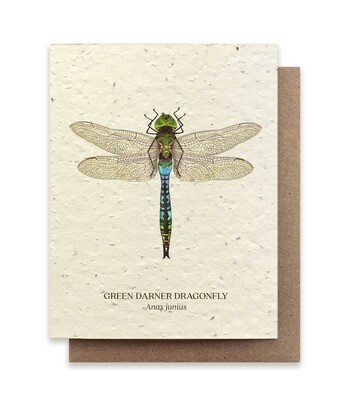 Dragonfly Insect Greeting Cards - Plantable Seed Paper - No Sleeves