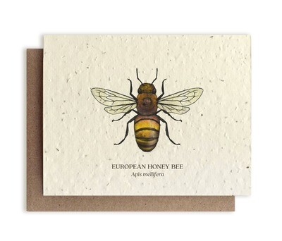 Honey Bee Greeting Cards - Plantable Seed Paper - No Sleeves