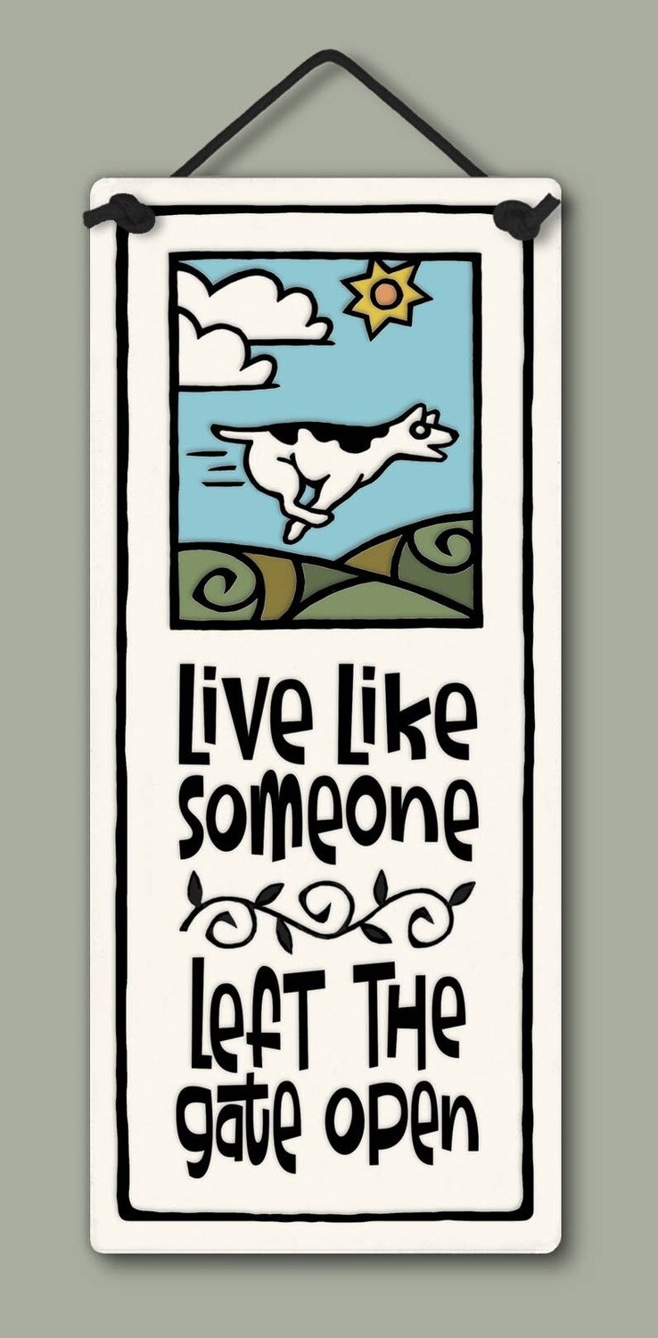 207 - Live Like 207 - Live Like