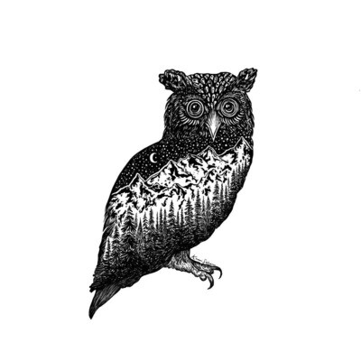 Owl Art Print - 8" x 10"