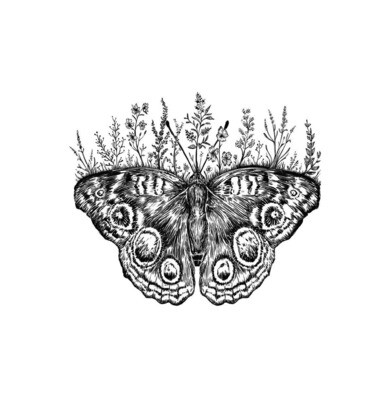 Floral Butterfly Art Print - 8" x 10"