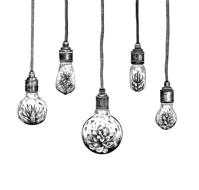 Hanging Succulent Light Bulbs Art Print - 8&quot; x 10&quot;