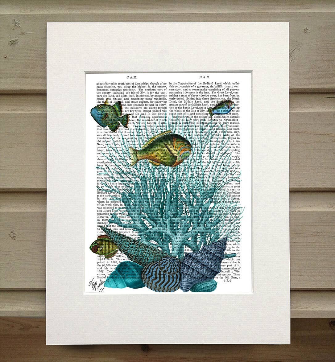 Fish, Blue Shells &amp;  Coral Nautical Book Print / Art Print - Matted book page