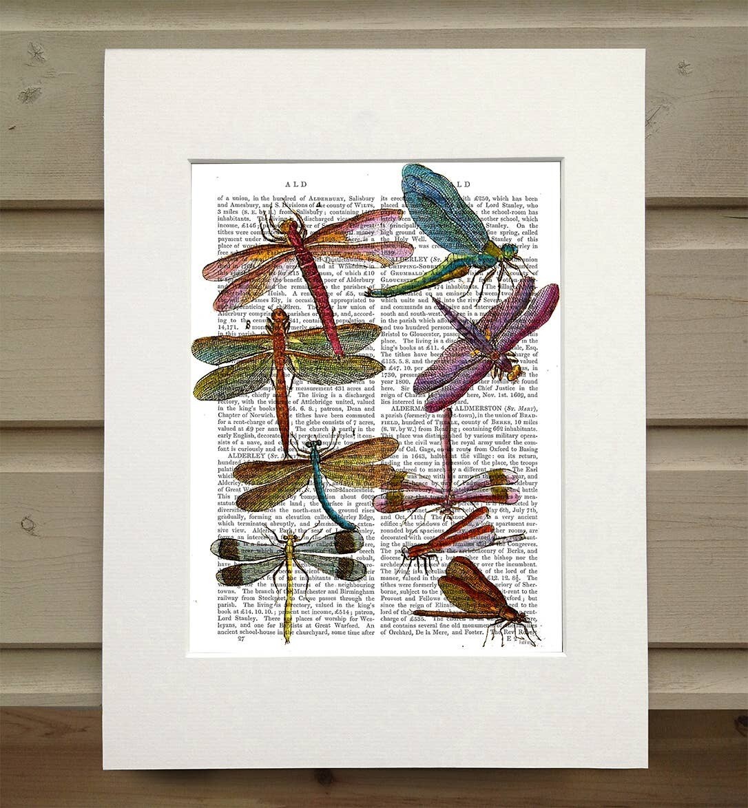 Dragonflies 3 Book Print / Art Print / Wall Art - Matted book page