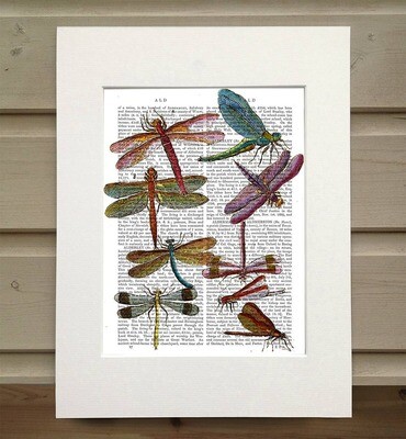 Dragonflies 3 Book Print / Art Print / Wall Art - Matted book page