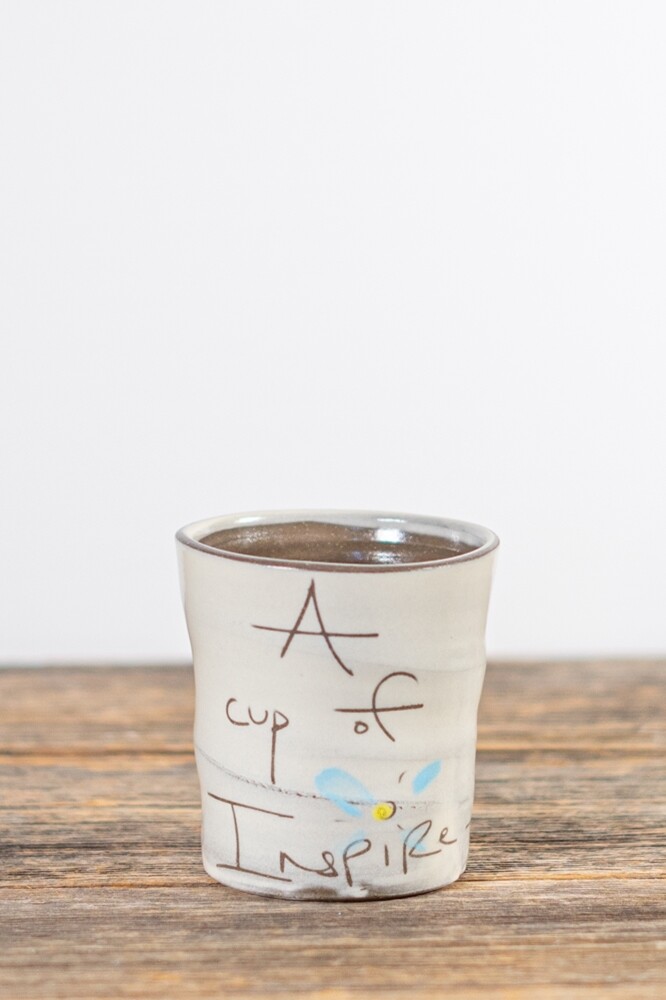 Inspire Cup