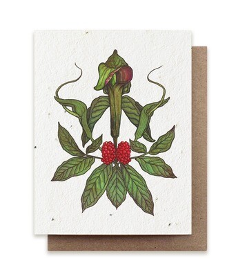 Jack-in-the-Pulpit &amp; Green Dragon Plantable Herb Card - No Sleeves