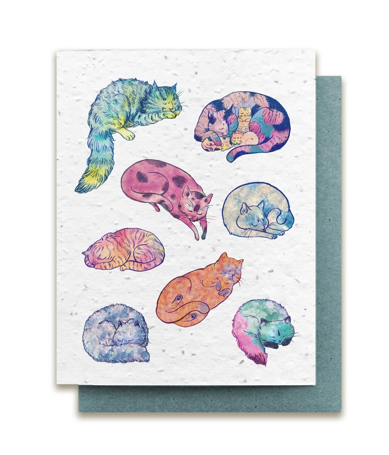 Limited Edition- Cozy Cats Plantable Wildflower Card - No Sleeves