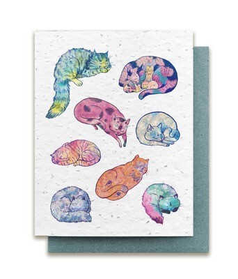 Limited Edition- Cozy Cats Plantable Wildflower Card - No Sleeves