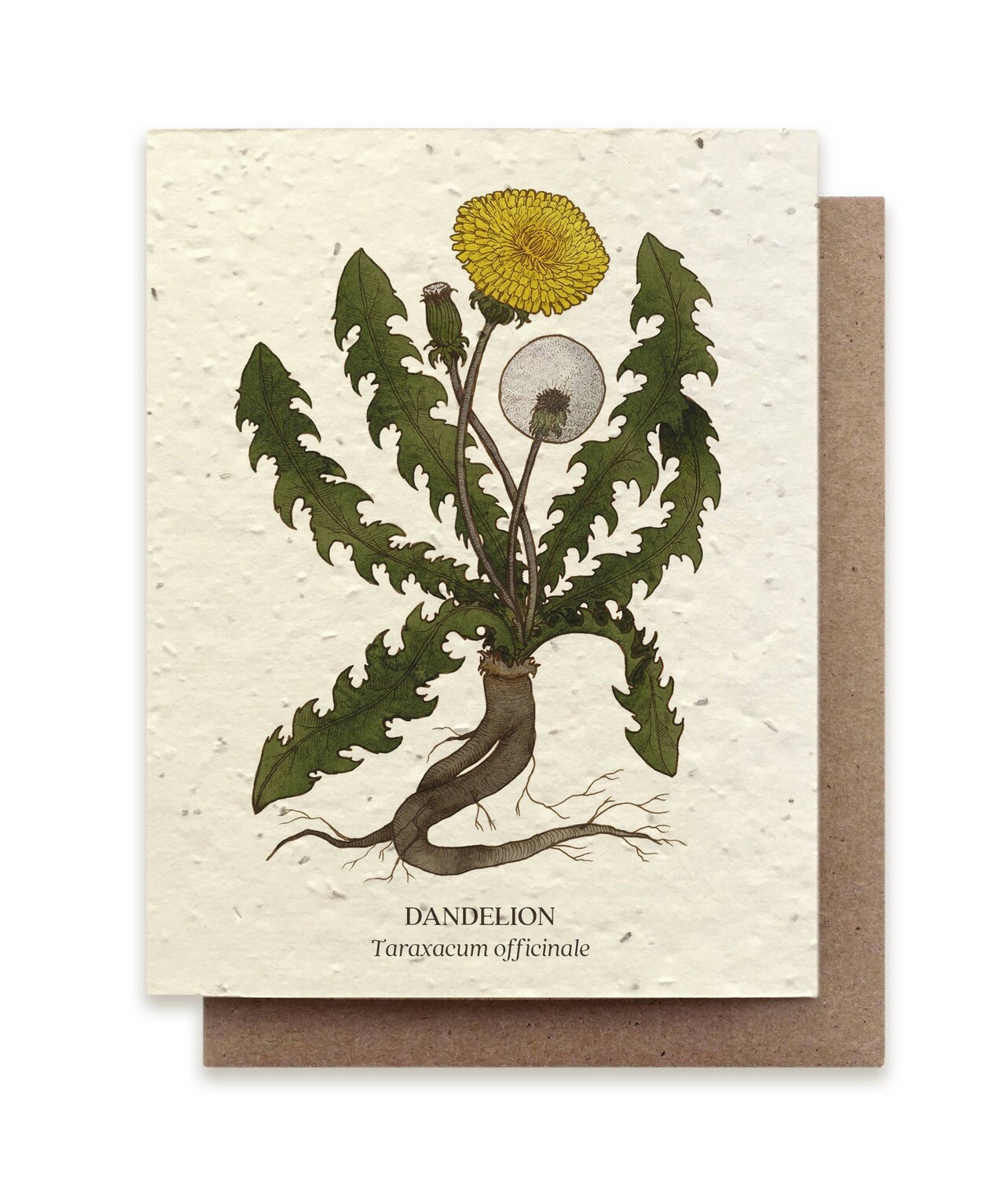 Dandelion Plantable Wildflower Card - No Sleeves