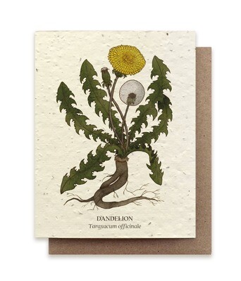Dandelion Plantable Wildflower Card - No Sleeves