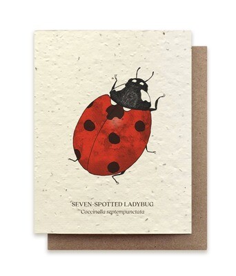 Seven-Spotted Ladybug Plantable Wildflower Card - No Sleeves