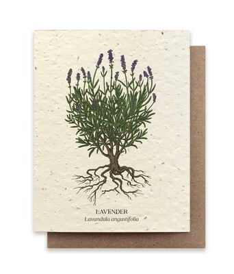 Lavender Plantable Wildflower Card - No Sleeves