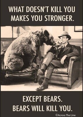 What does not kill you makes you stronger Magnet