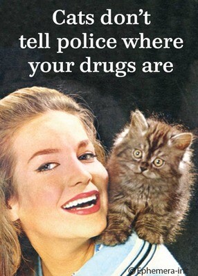 Cats don&#39;t tell police where your drugs are Magnet 