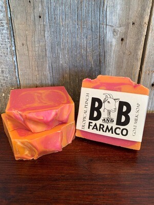 Tropical Punch Goat Milk Soap Tropical Punch Goat Milk Soap